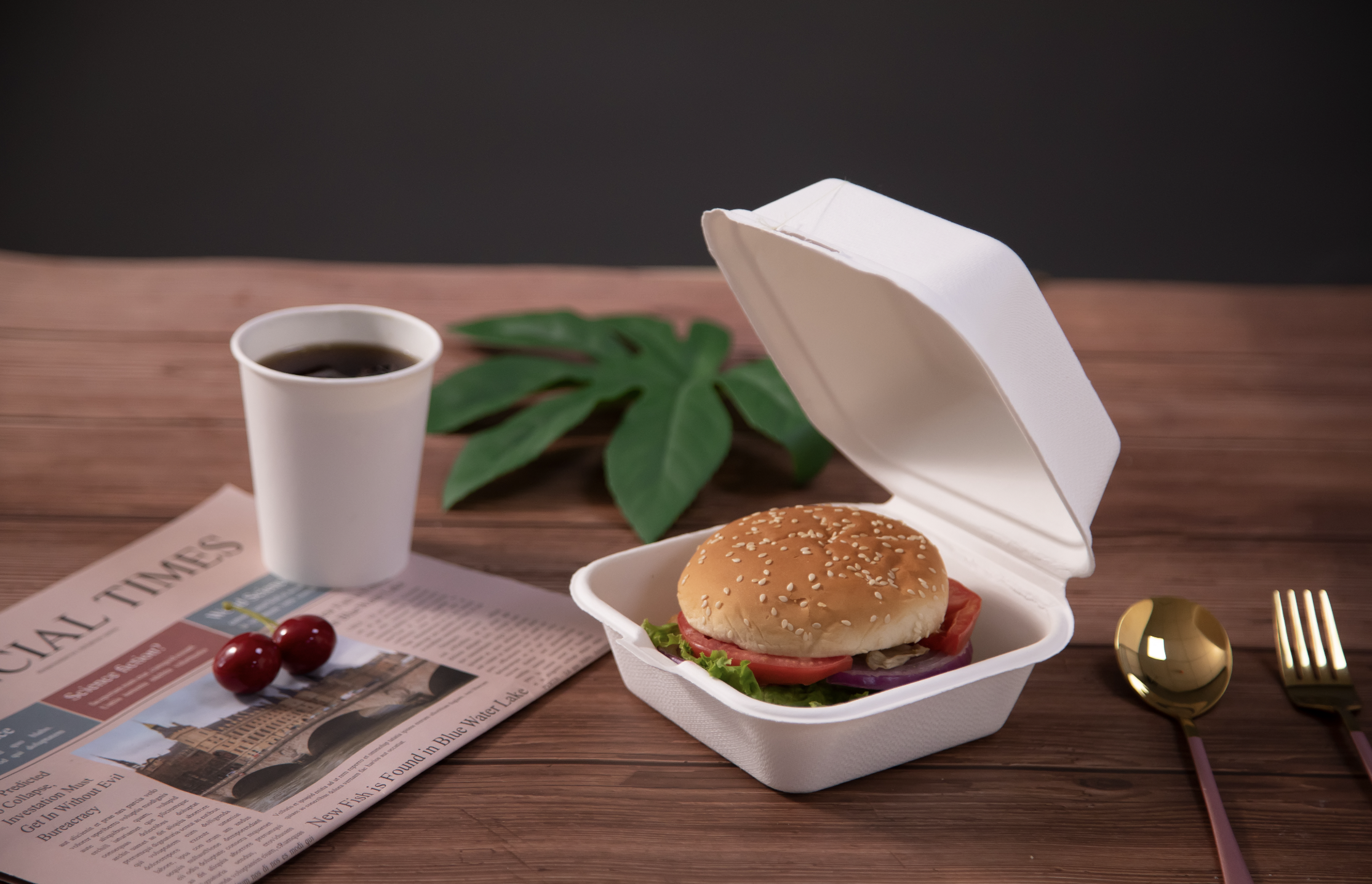 450ml Environmentally Friendly Burger Box